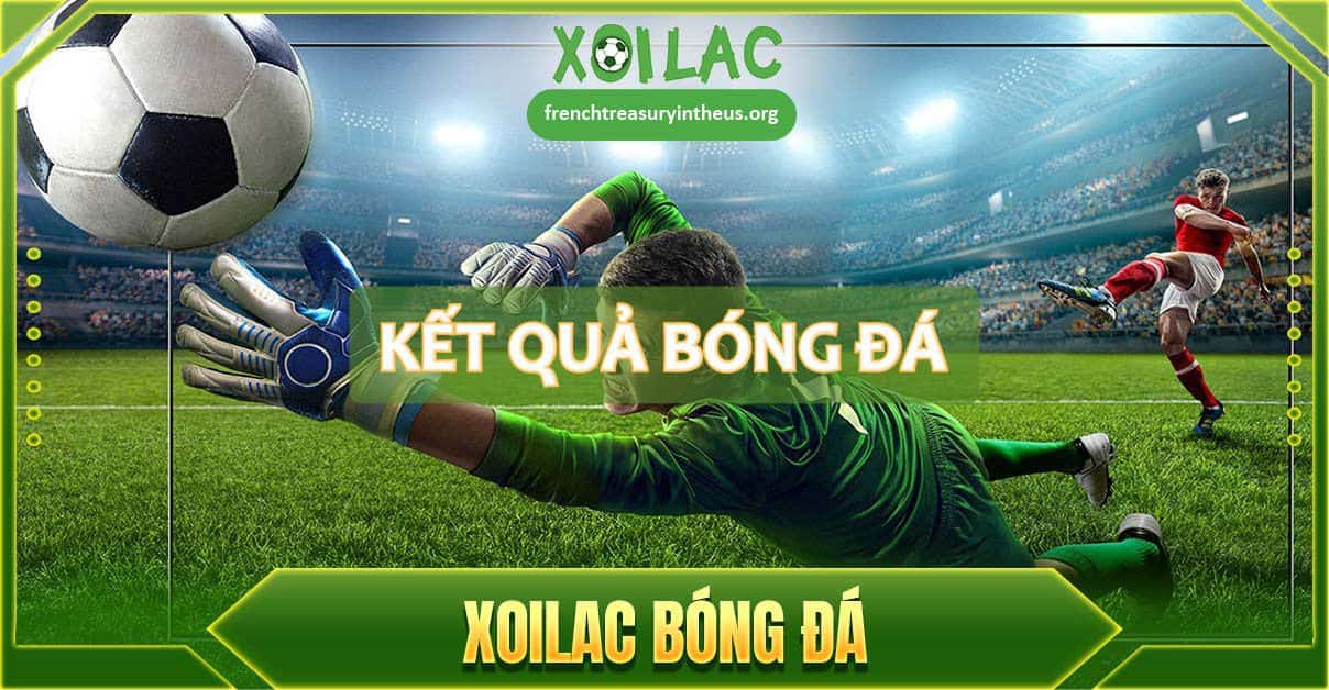 Vì sao người xem nên chọn tham khảo Kết quả bóng đá Xoilac?